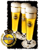 warsteiner_glass.gif