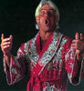 ricflair_420.jpg