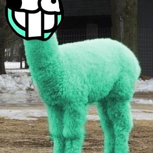 uglylama